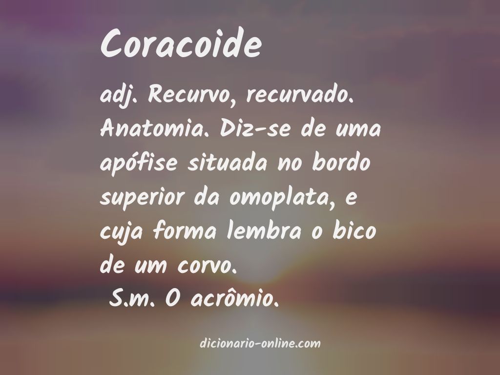 Significado de coracoide