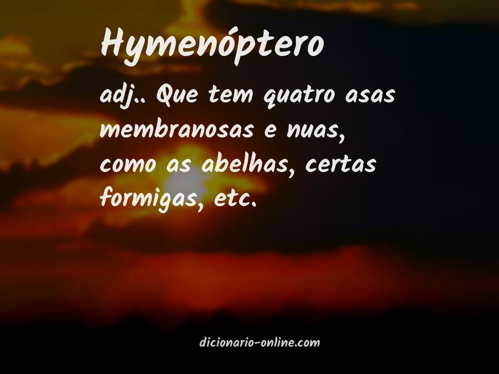 Significado de hymenóptero