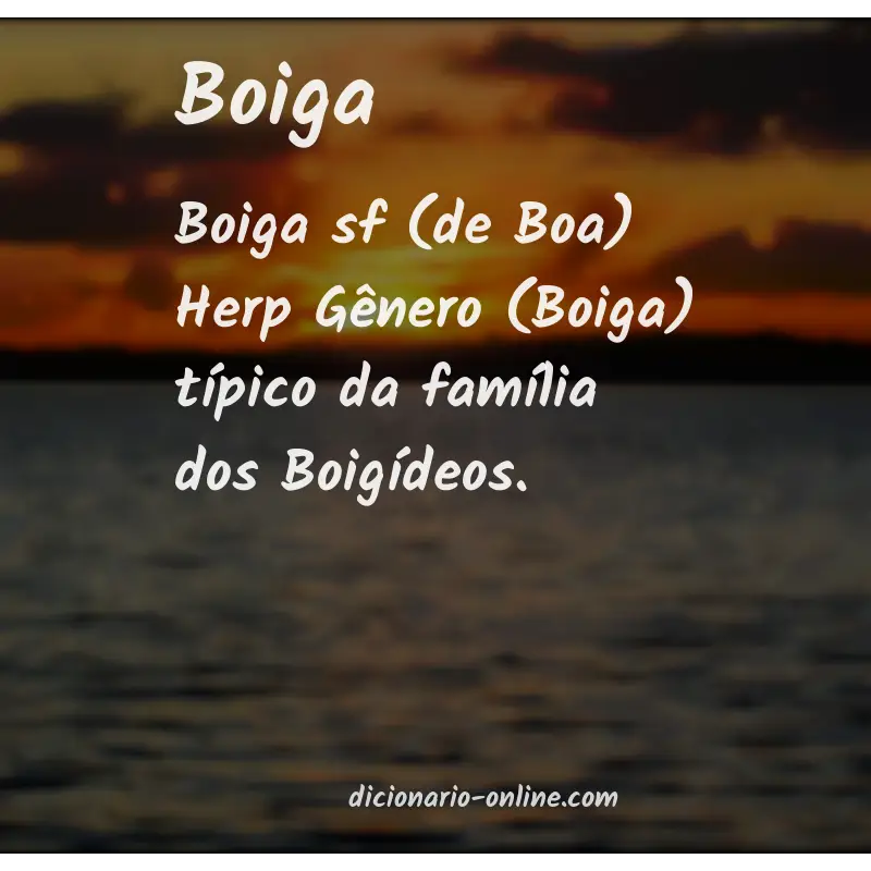 Significado de boiga