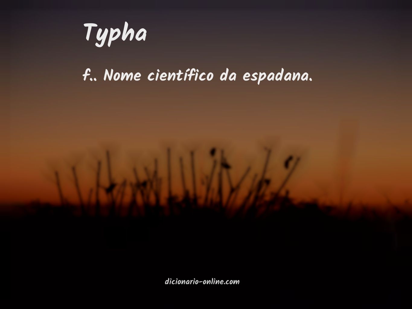 Significado de typha