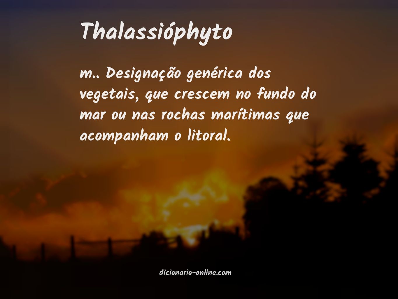 Significado de thalassióphyto