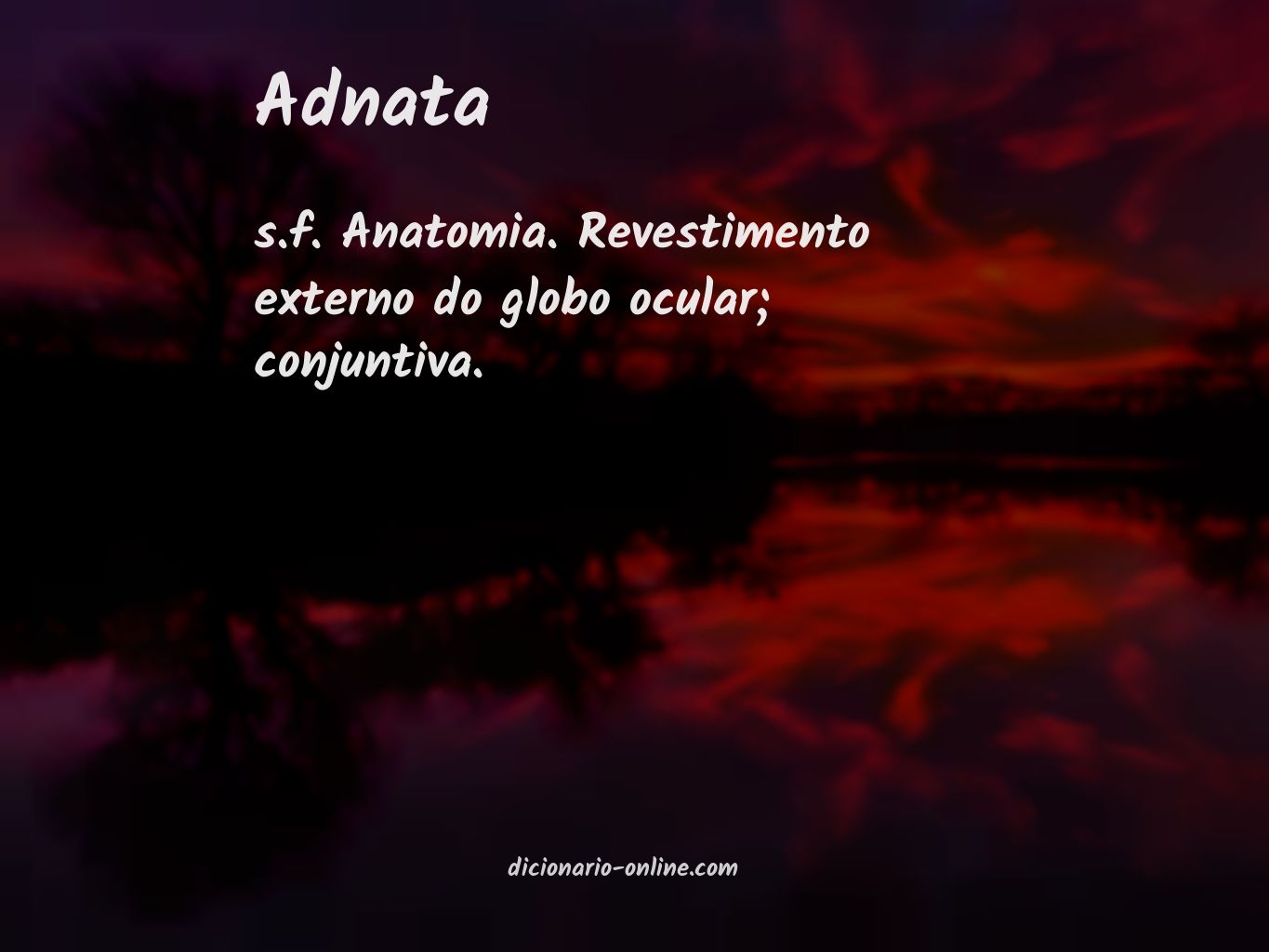 Significado de adnata