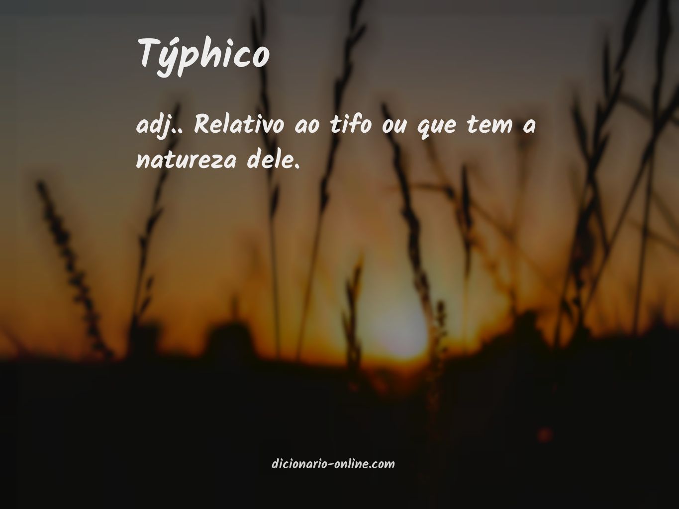 Significado de týphico