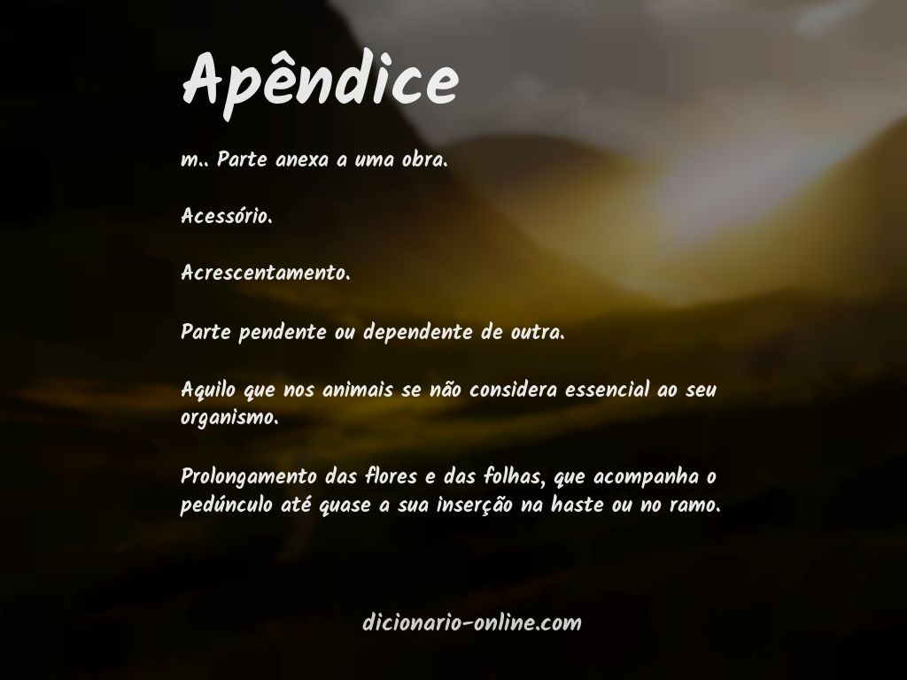 Significado de apêndice