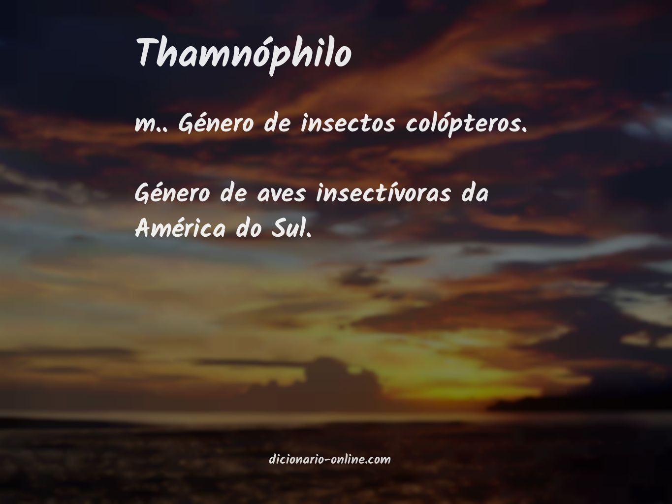 Significado de thamnóphilo