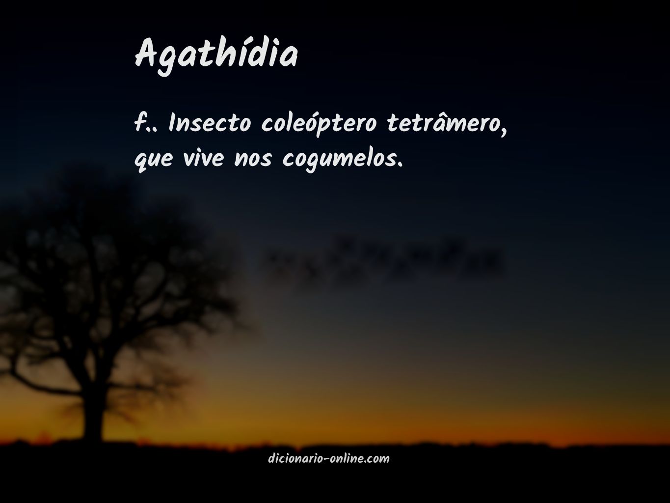 Significado de agathídia