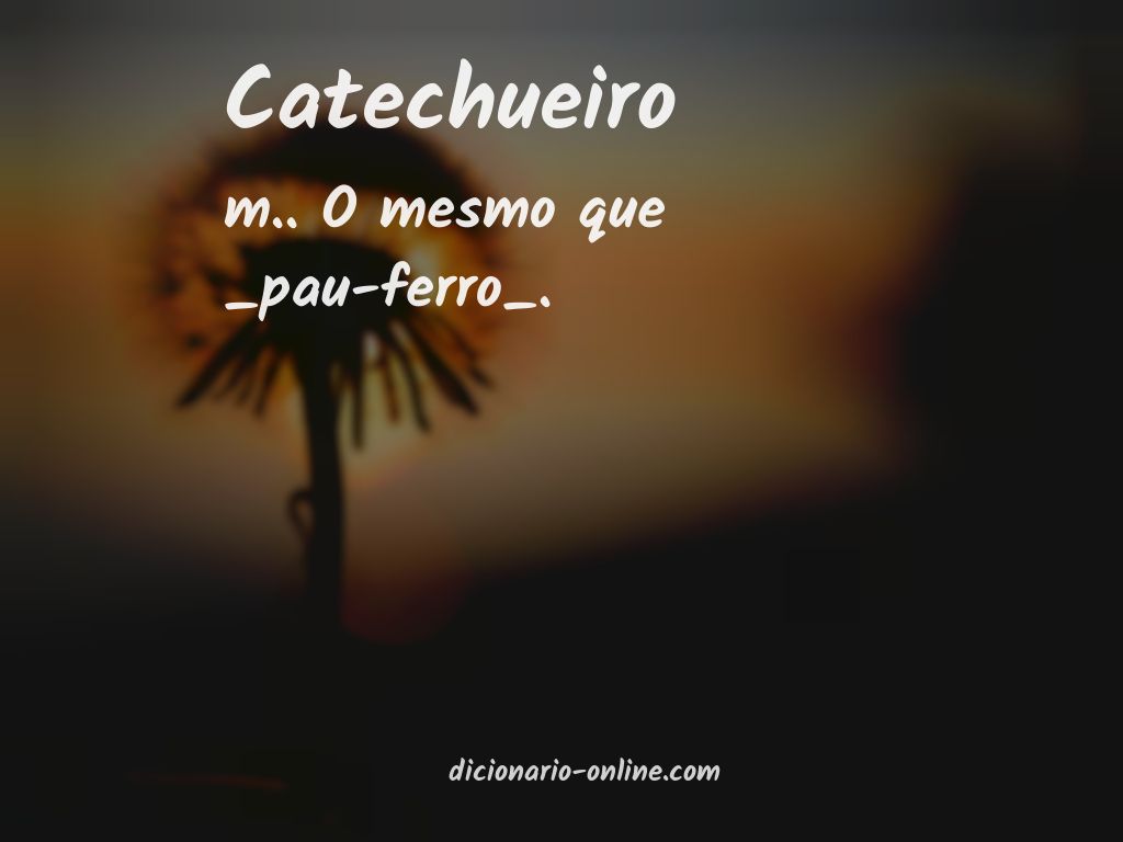 Significado de catechueiro