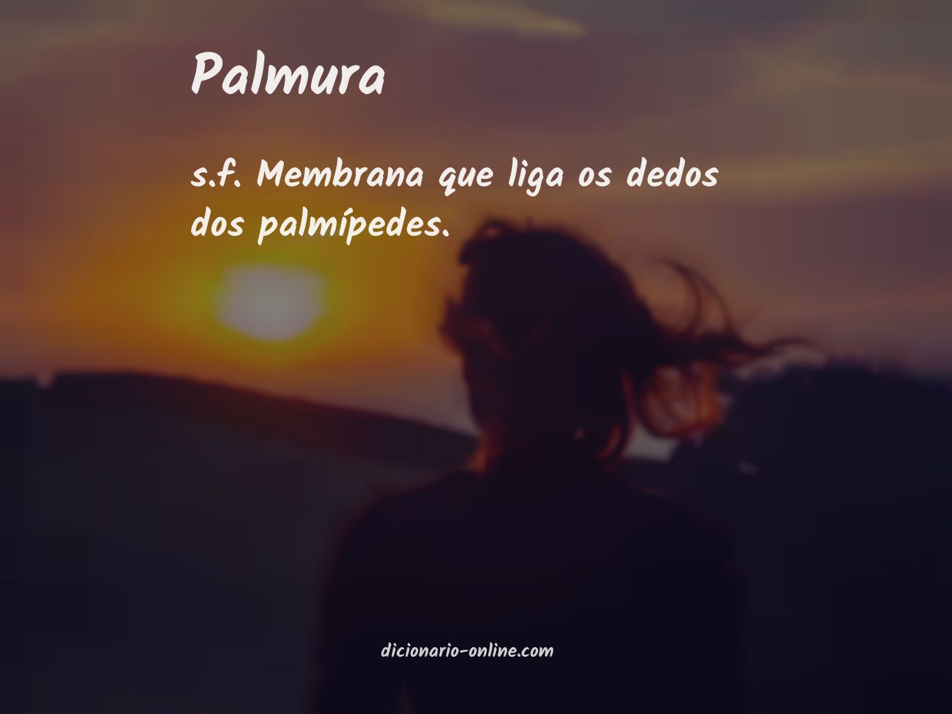 Significado de palmura