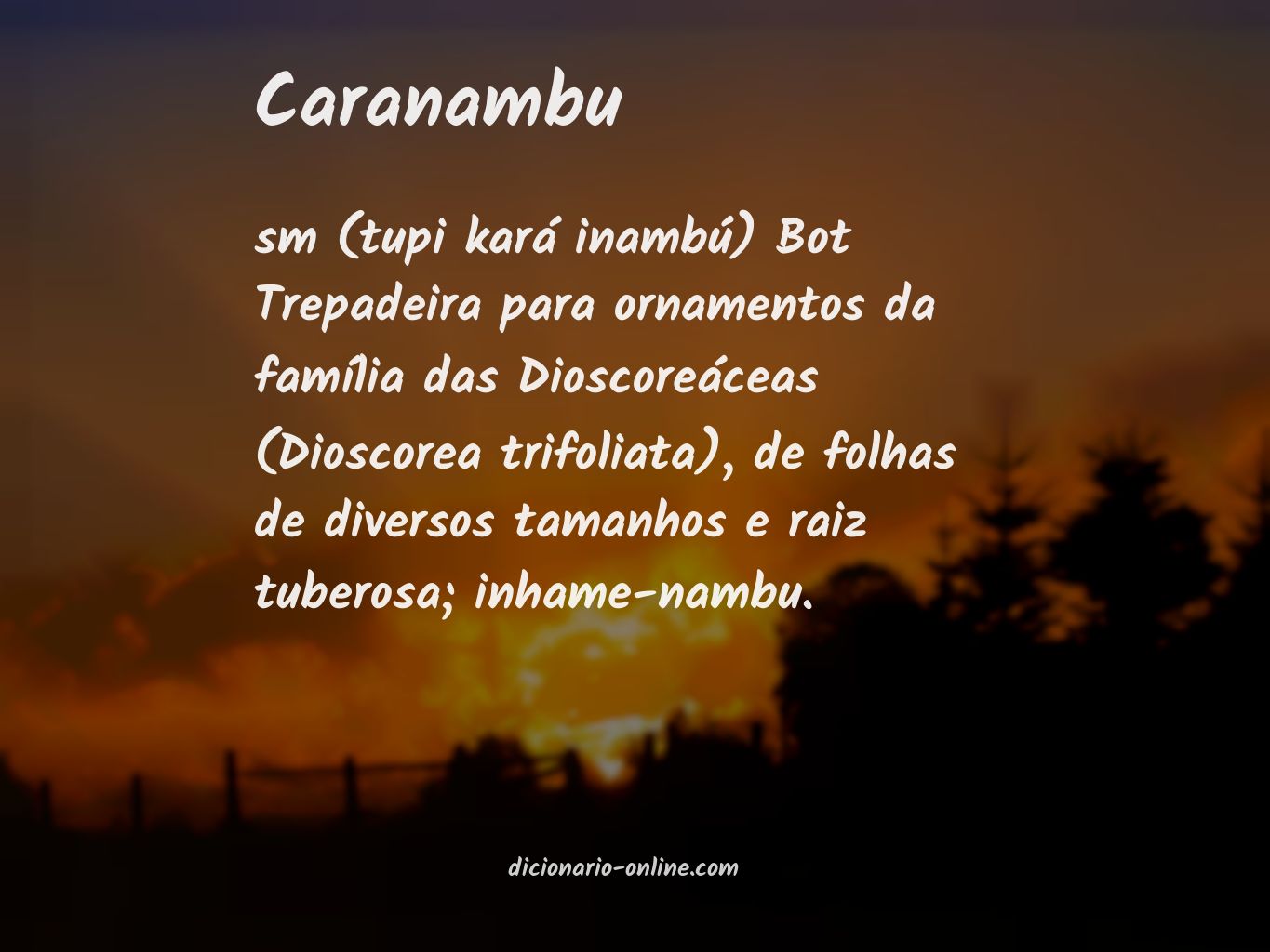 Significado de caranambu