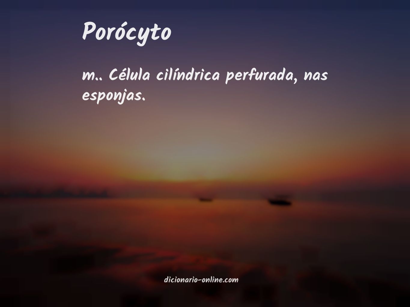 Significado de porócyto