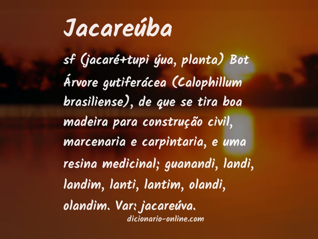 Significado de jacareúba