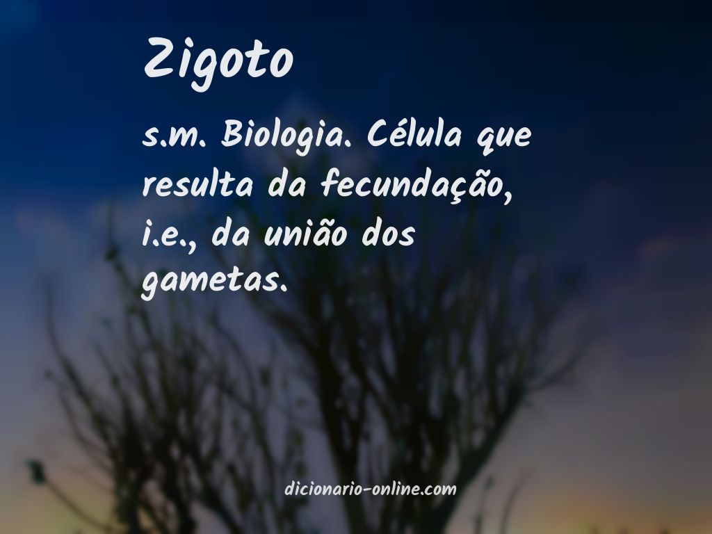 Significado de zigoto