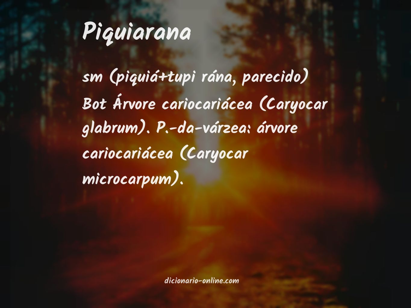 Significado de piquiarana