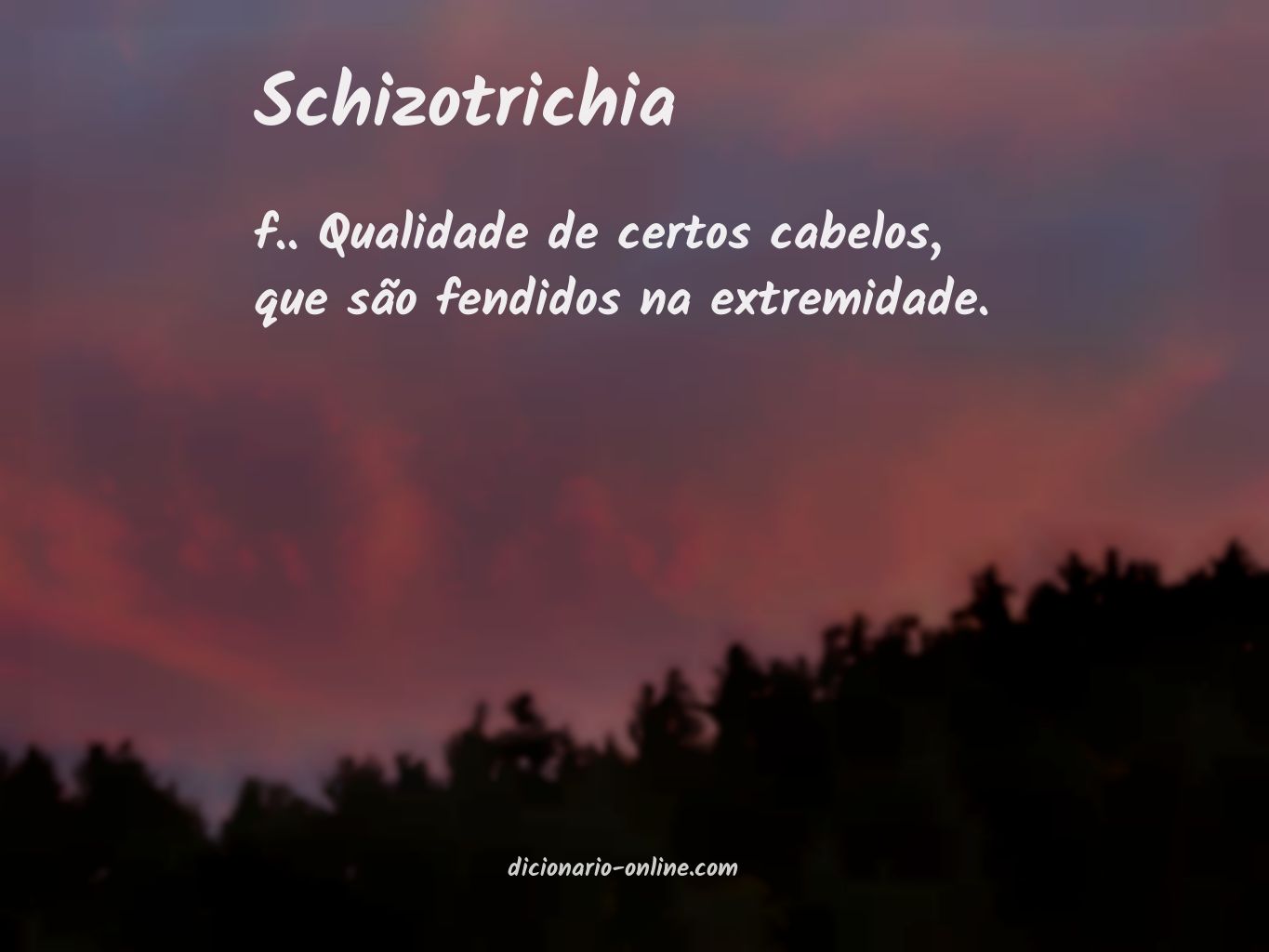 Significado de schizotrichia