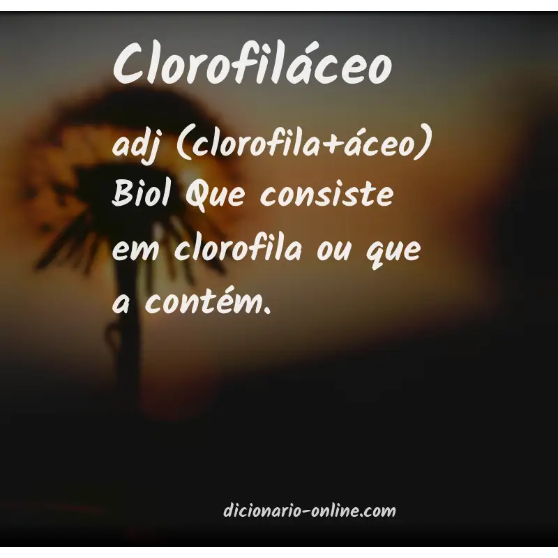 Significado de clorofiláceo