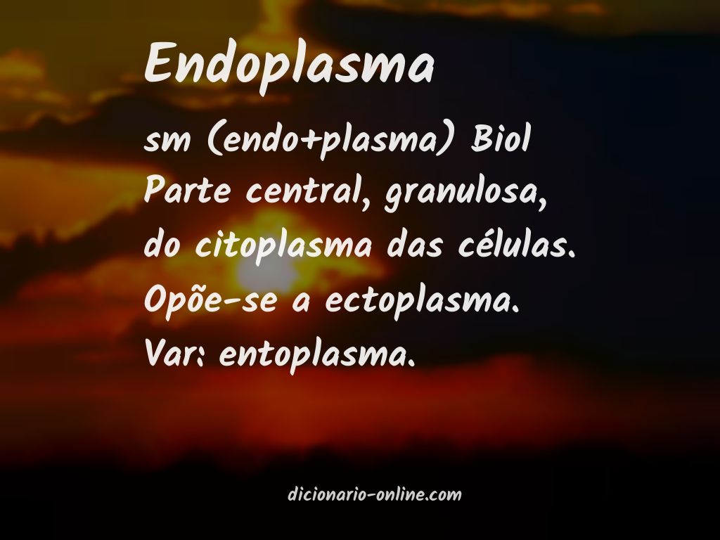 Significado de endoplasma