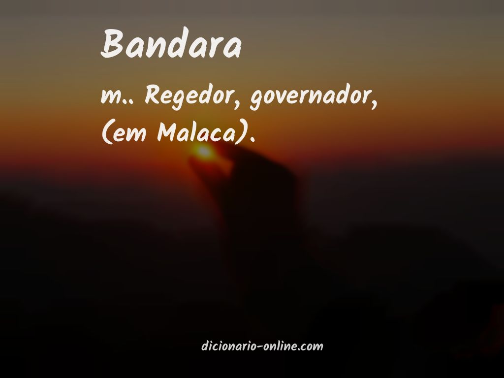 Significado de bandara