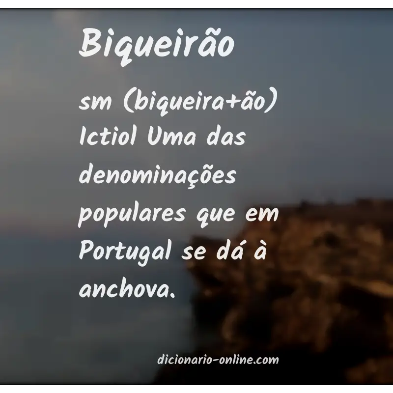 Significado de biqueirão