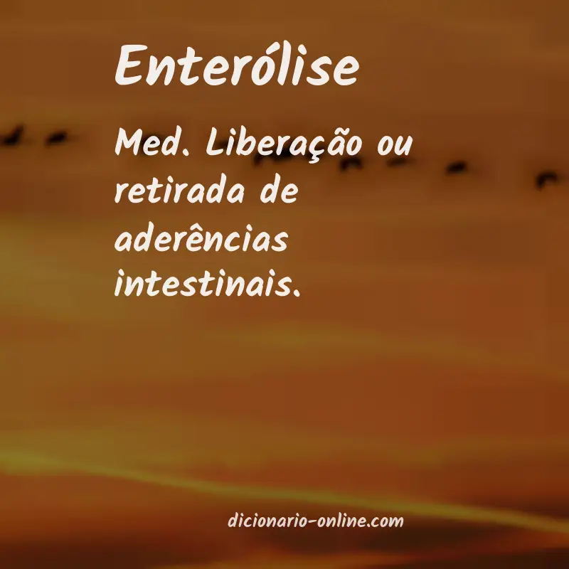 Significado de enterólise