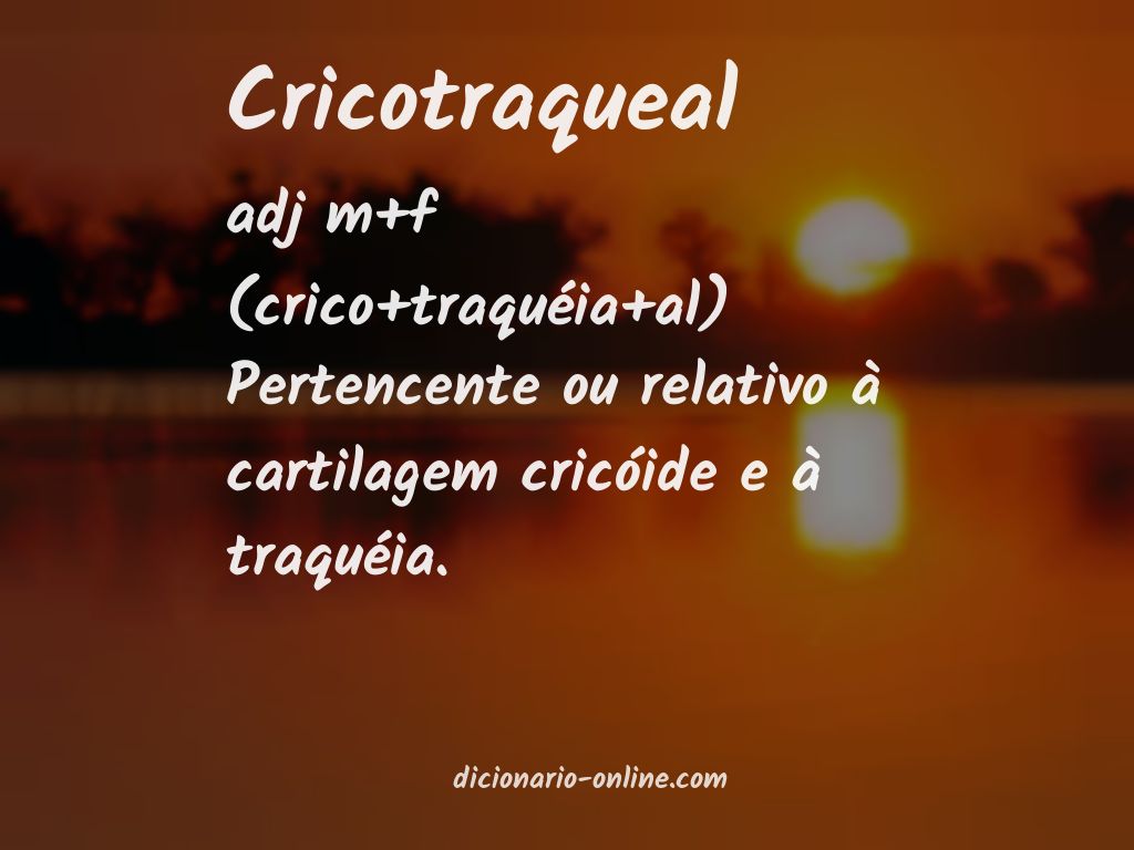 Significado de cricotraqueal