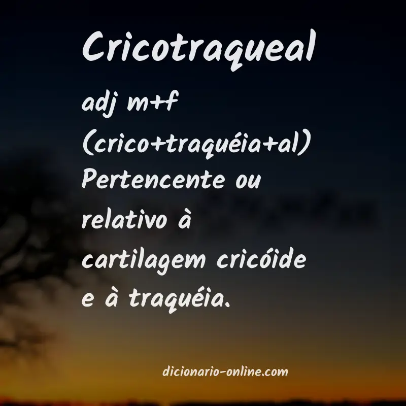 Significado de cricotraqueal