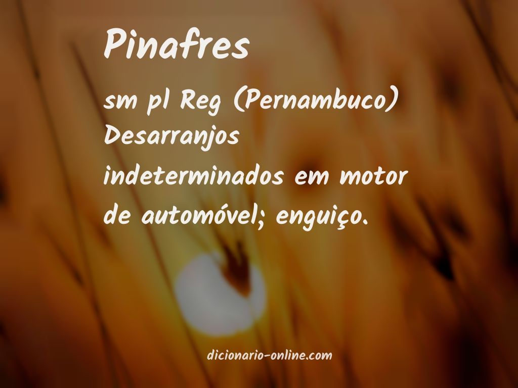 Significado de pinafres