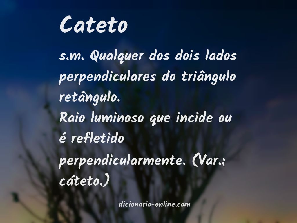 Significado de cateto