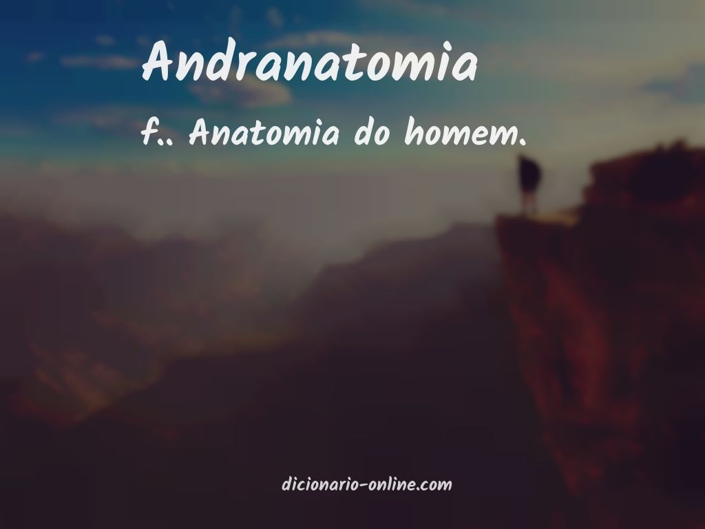 Significado de andranatomia