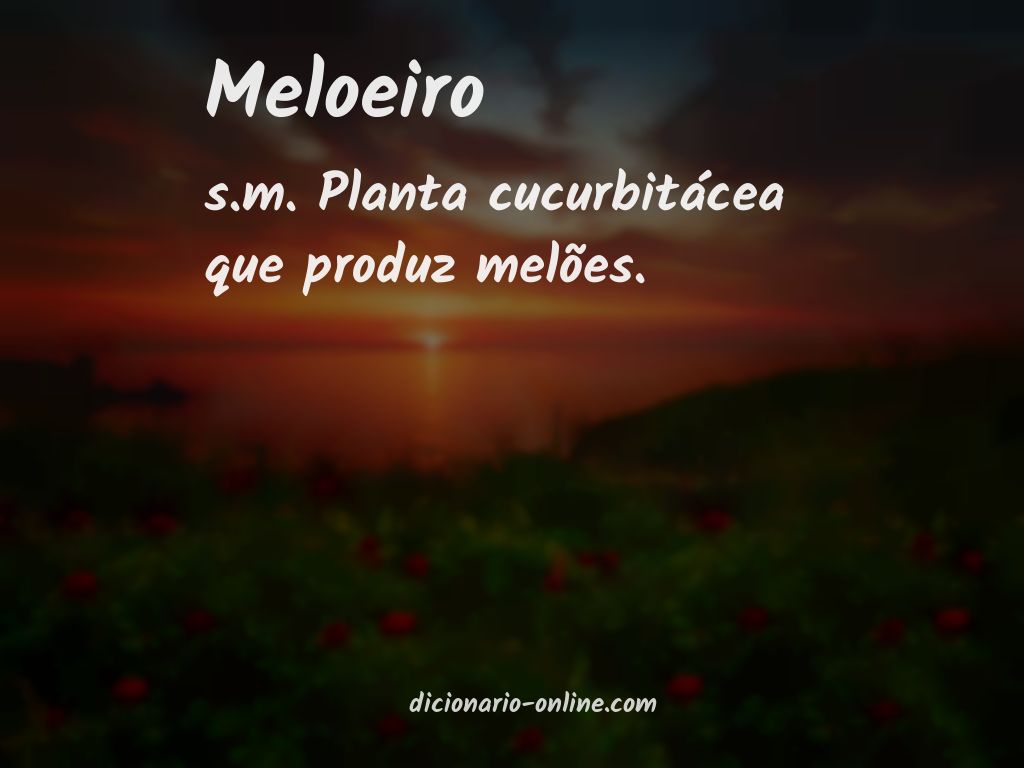 Significado de meloeiro