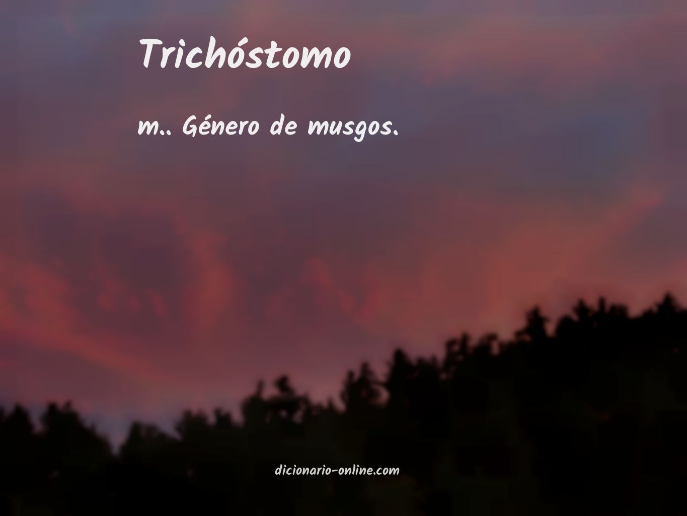 Significado de trichóstomo