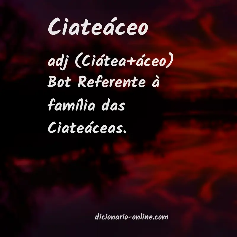 Significado de ciateáceo