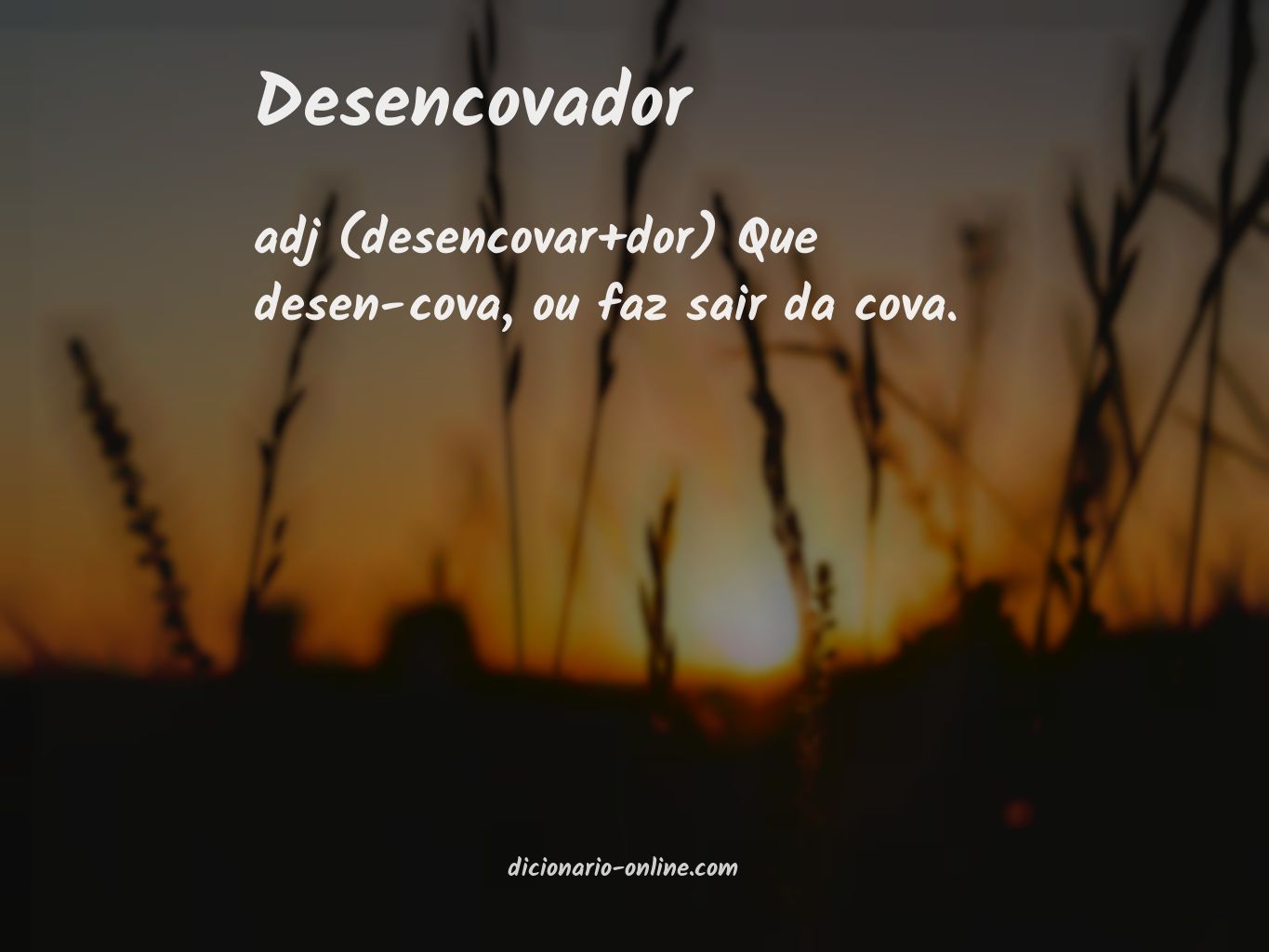 Significado de desencovador