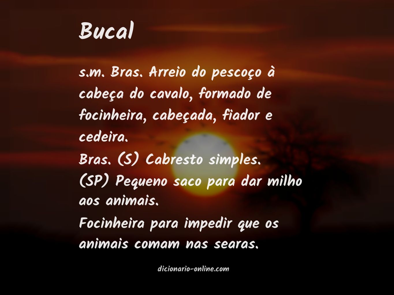 Significado de bucal