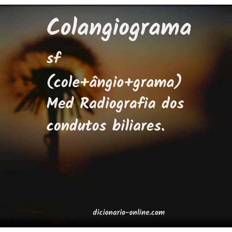 Significado de colangiograma