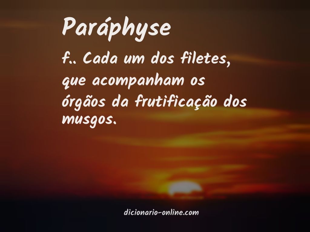 Significado de paráphyse