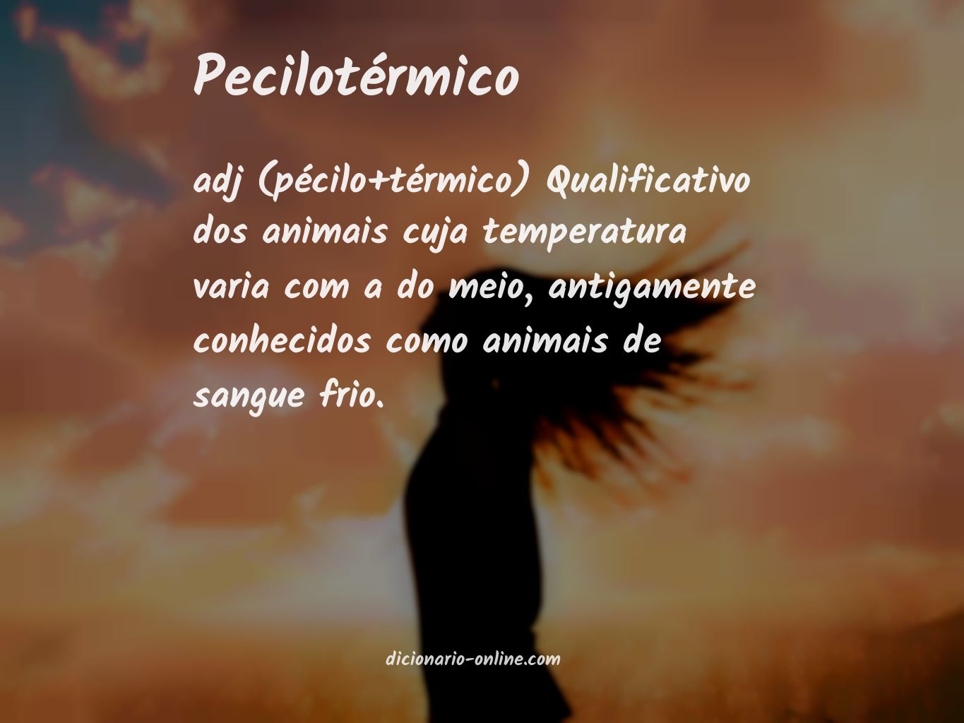 Significado de pecilotérmico