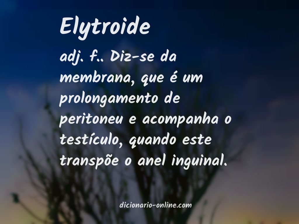Significado de elytroide