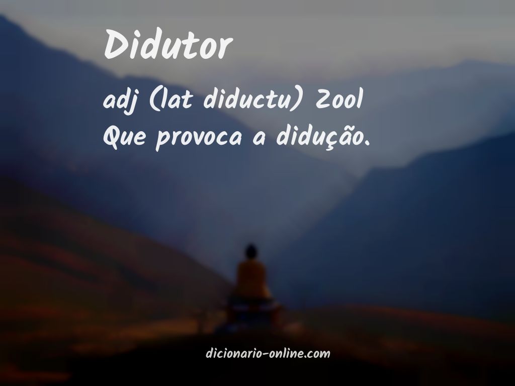 Significado de didutor