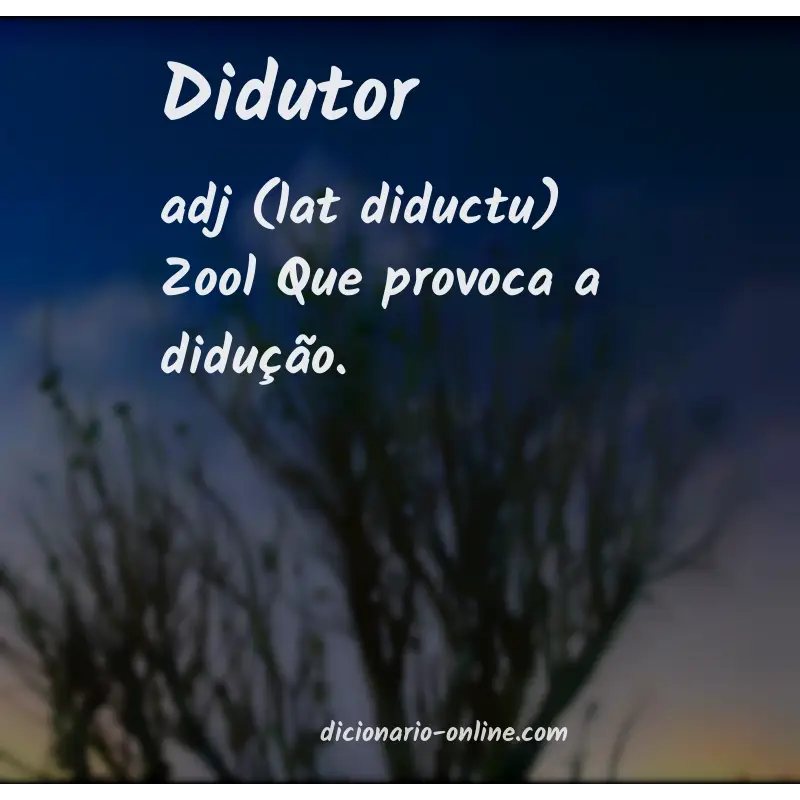 Significado de didutor