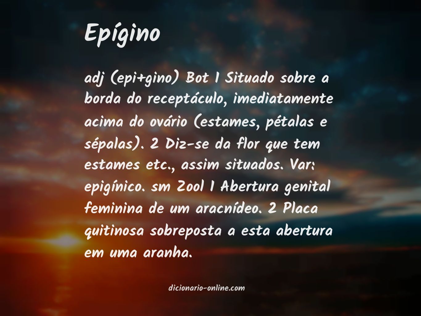 Significado de epígino