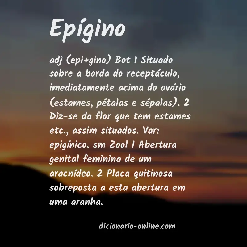 Significado de epígino