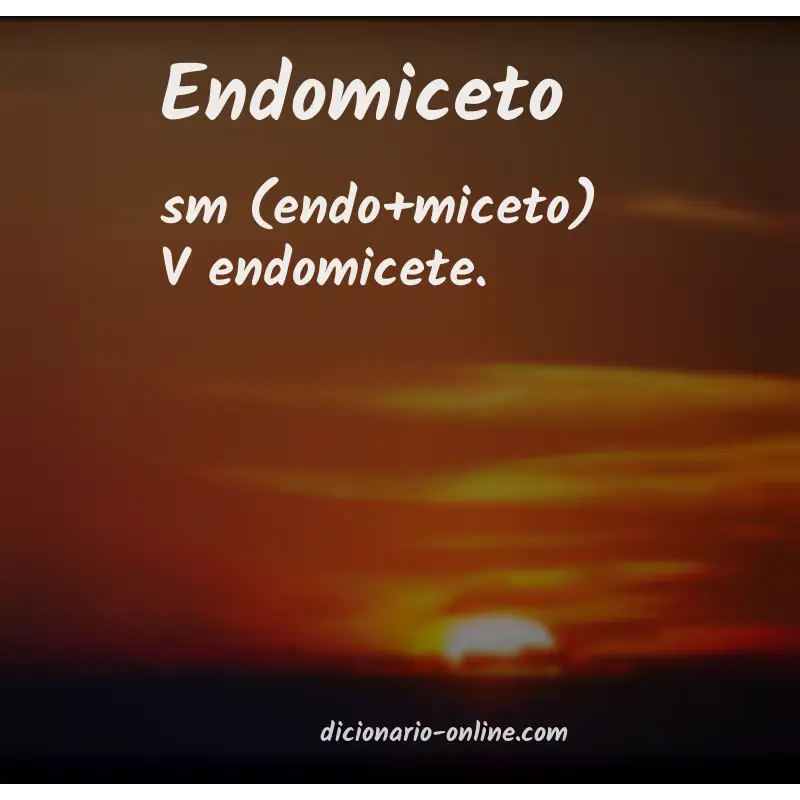 Significado de endomiceto