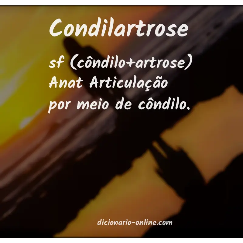 Significado de condilartrose