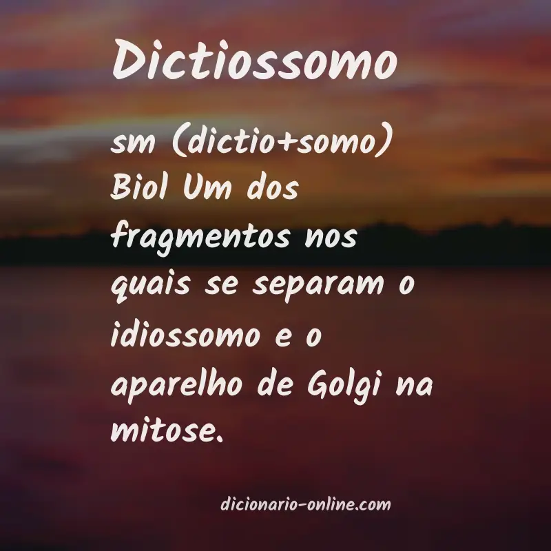 Significado de dictiossomo