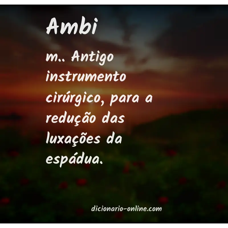 Significado de ambi