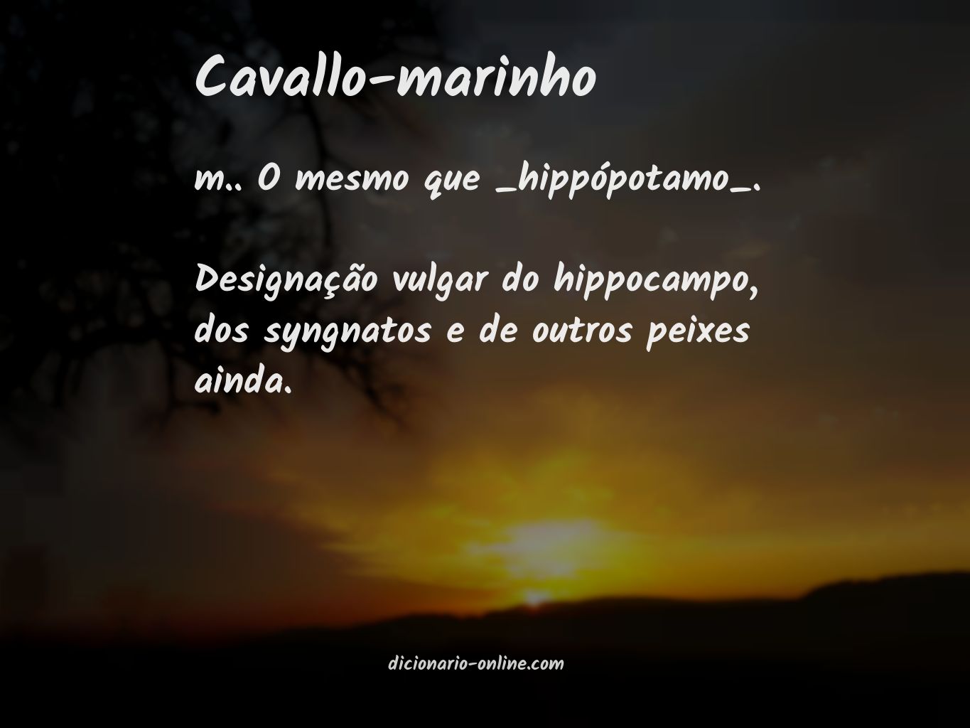 Significado de cavallo-marinho