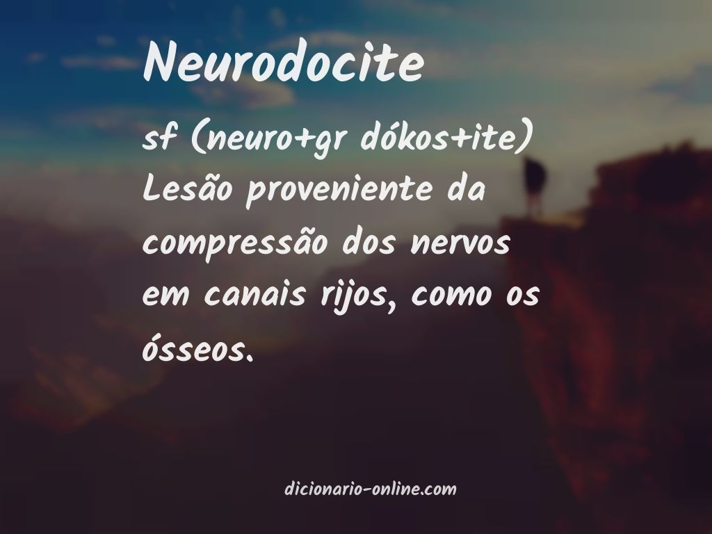 Significado de neurodocite