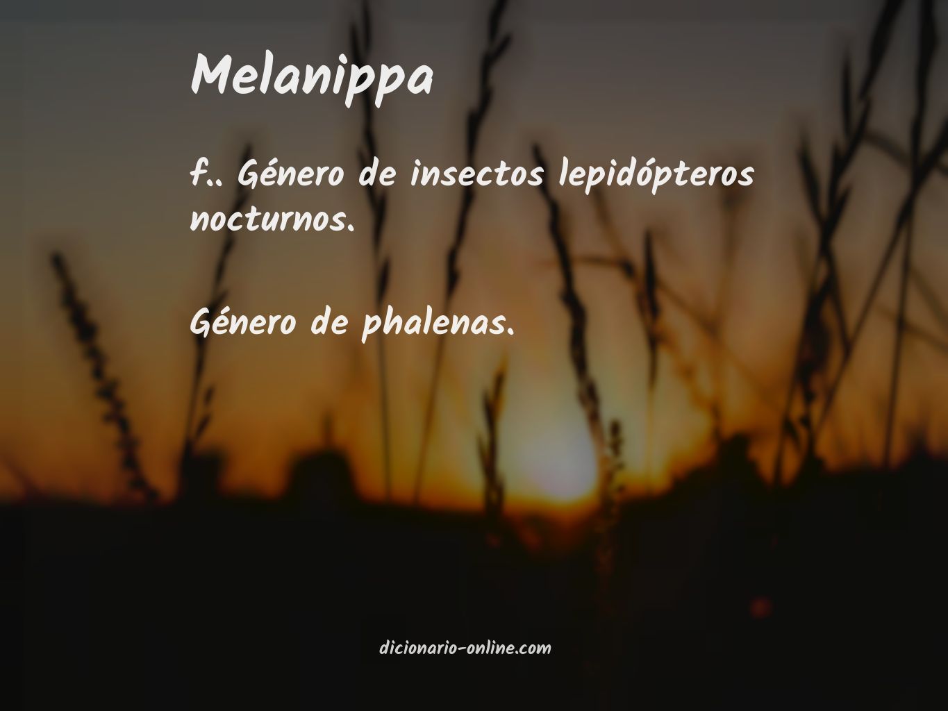 Significado de melanippa