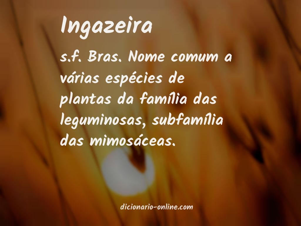 Significado de ingazeira