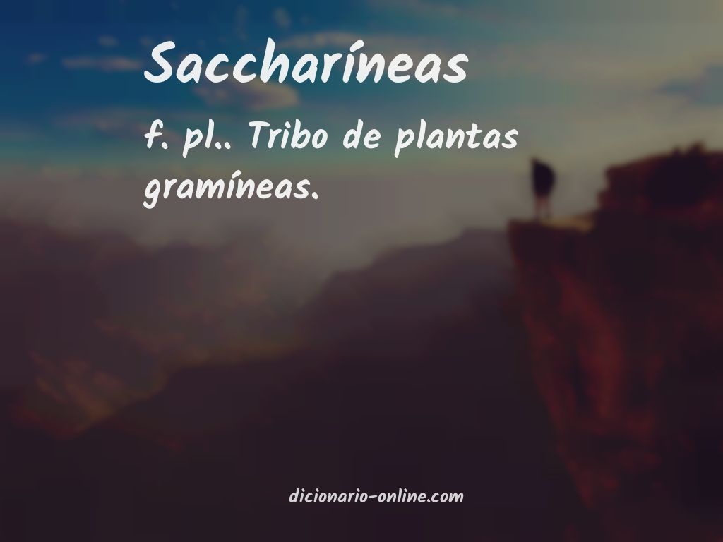 Significado de saccharíneas